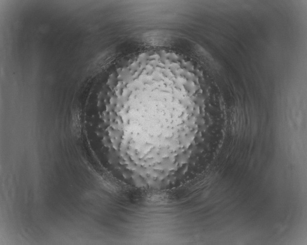 X0000062800410200512290254