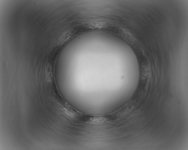 X0000062800414200512290253