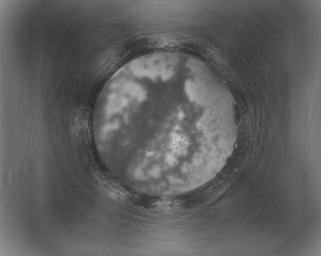 X0000062800415200512290253