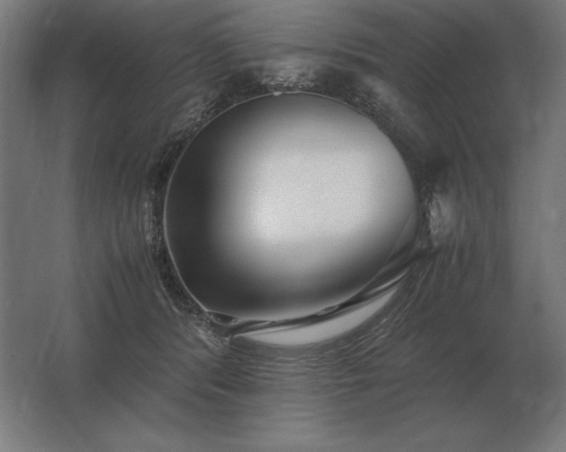 X0000062800416200512290253