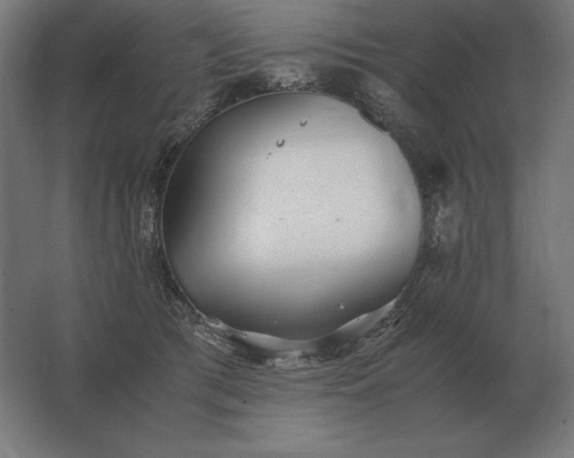 X0000062800417200512290253
