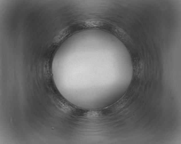 X0000062800418200512290253