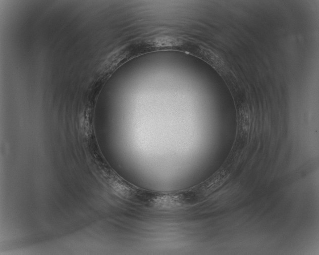 X0000062800422200512290253