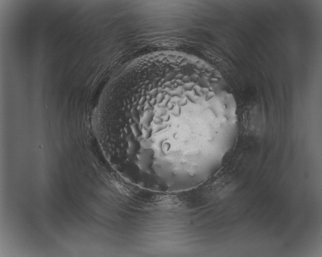 X0000062800424200512290253