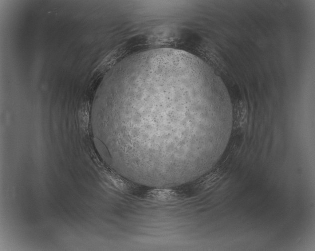 X0000062800427200512290253