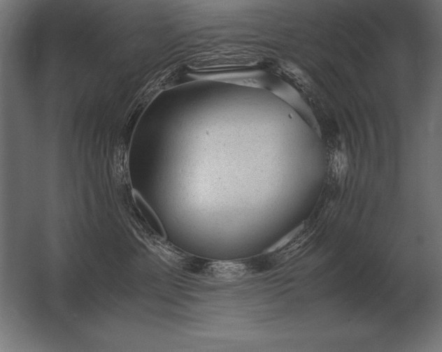 X0000062800429200512290253