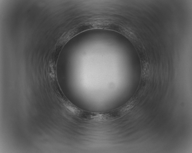 X0000062800430200512290253