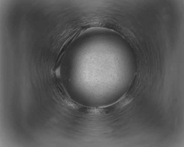 X0000062800432200512290253