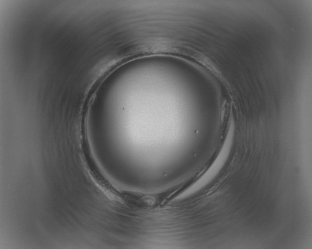 X0000062800438200512290252