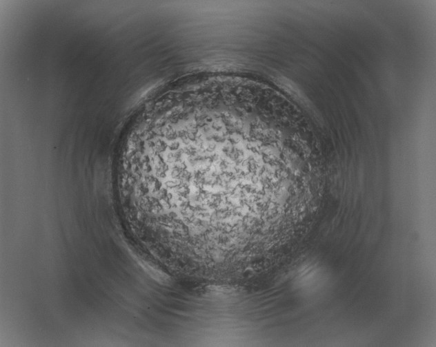 X0000062800442200512290252