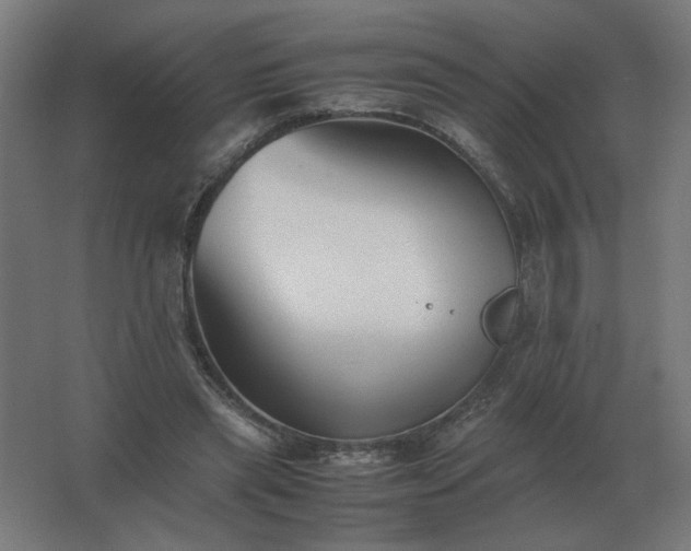 X0000062800445200512290253