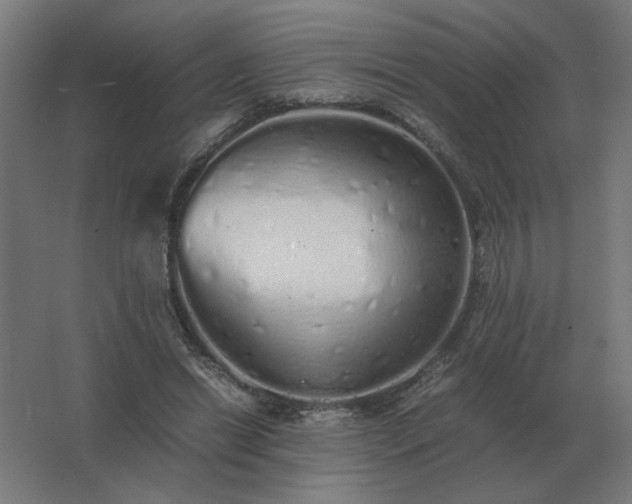 X0000062800446200512290253