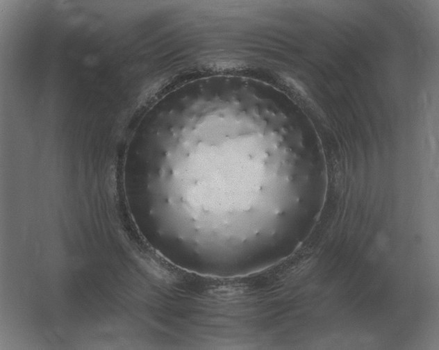 X0000062800447200512290253