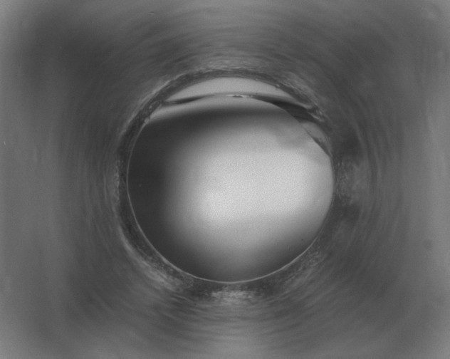 X0000062800448200512290253
