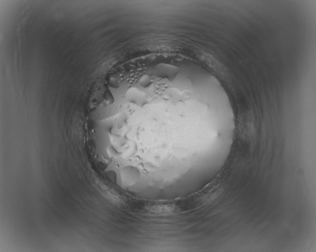 X0000062800449200512290253