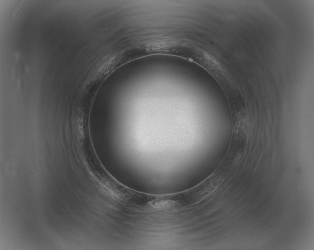 X0000062800452200512290253