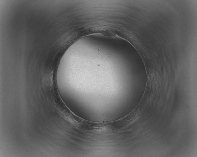 X0000062800454200512290253
