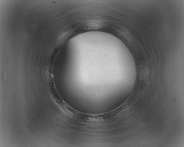 X0000062800455200512290253