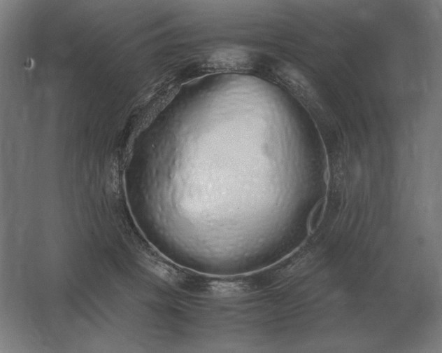X0000062800457200512290253