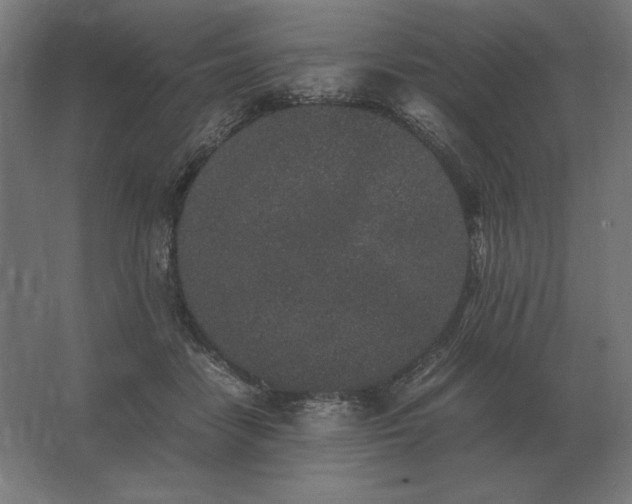 X0000062800458200512290253