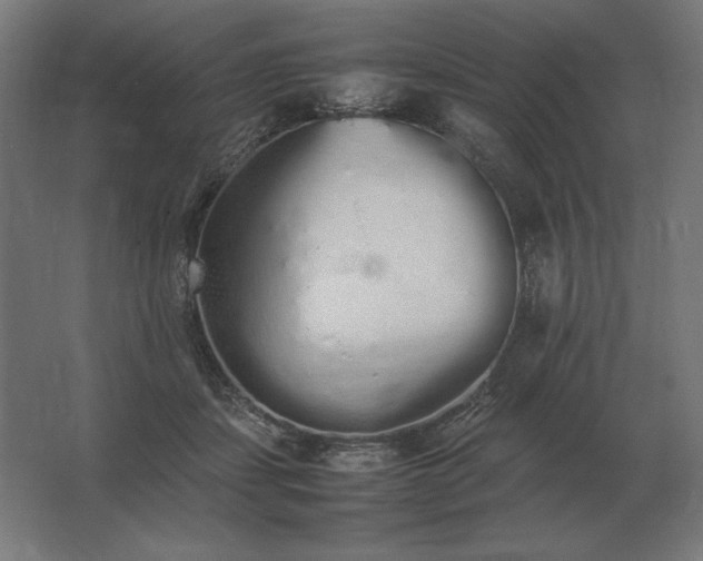 X0000062800459200512290253