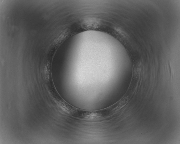 X0000062800460200512290253