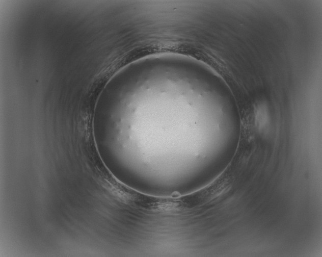 X0000062800462200512290253