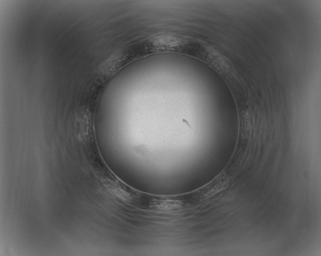 X0000062800463200512290253