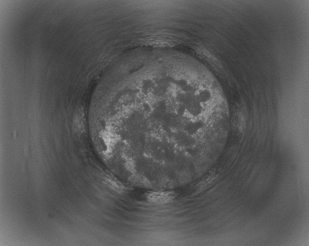 X0000062800465200512290253