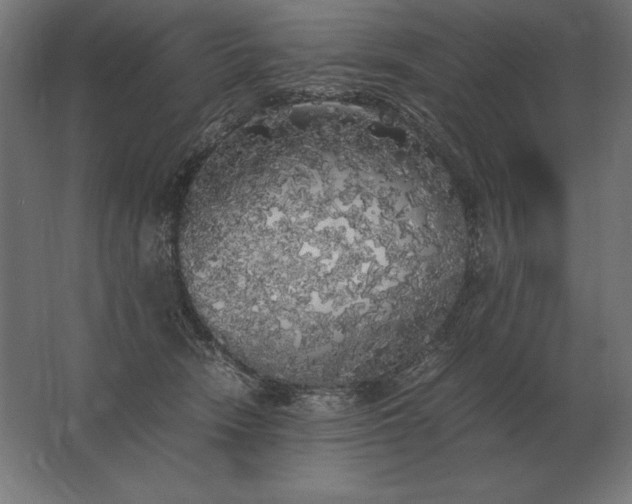 X0000062800466200512290253