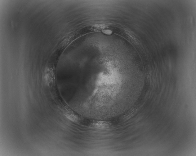X0000062800467200512290253