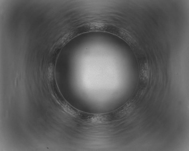 X0000062800468200512290253