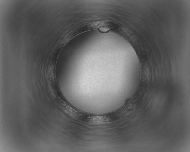 X0000062800473200512290253