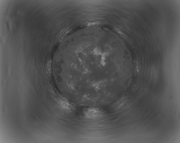 X0000062800475200512290253