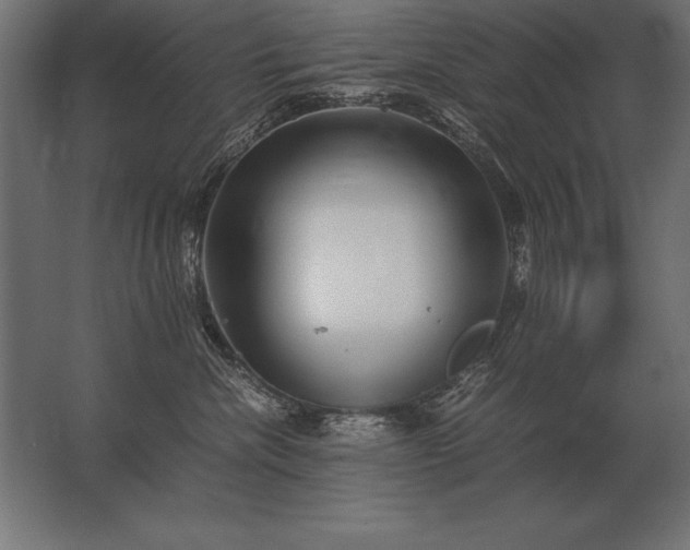 X0000062800476200512290253
