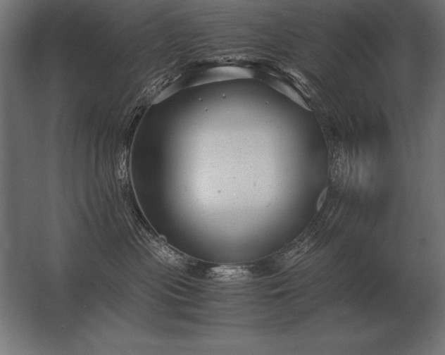 X0000062800477200512290253