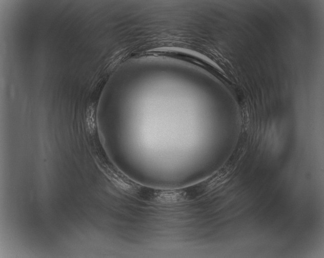 X0000062800479200512290253