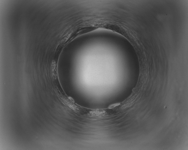 X0000062800480200512290253