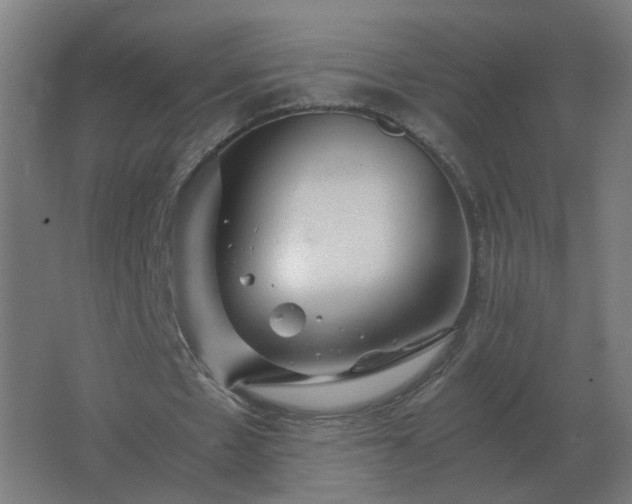 X0000062800481200512290252