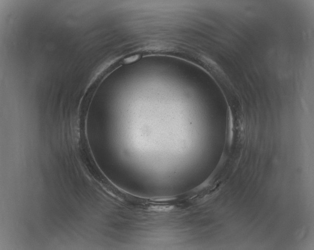 X0000062800484200512290252