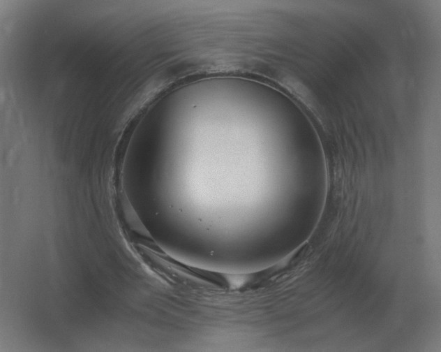 X0000062800485200512290252