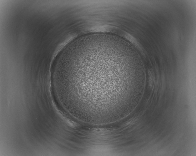 X0000062800486200512290252