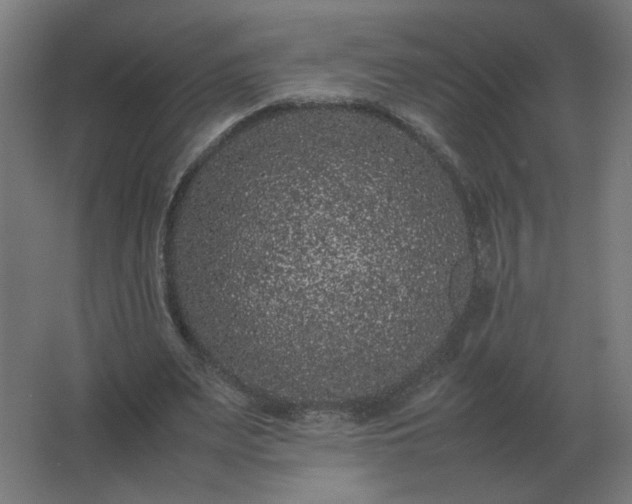 X0000062800487200512290252