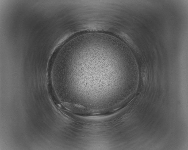 X0000062800488200512290252
