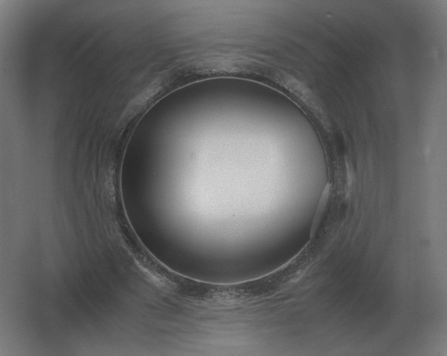 X0000062800489200512290252
