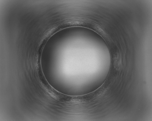 X0000062800490200512290252