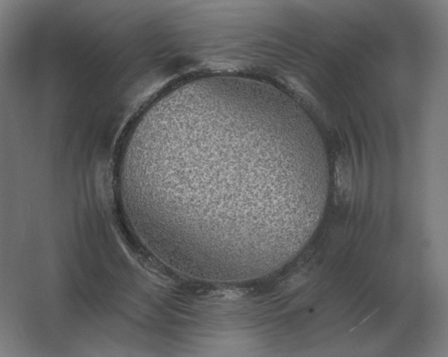 X0000062800492200512290252