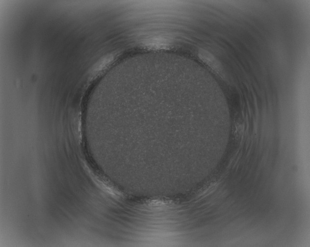 X0000062800494200512290252