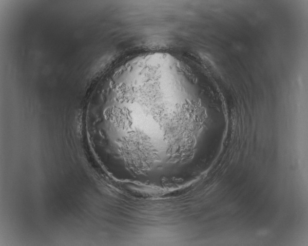 X0000062800495200512290252