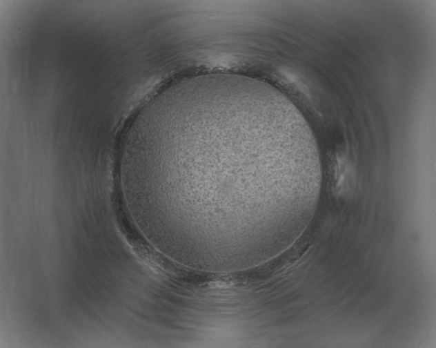 X0000062800496200512290252